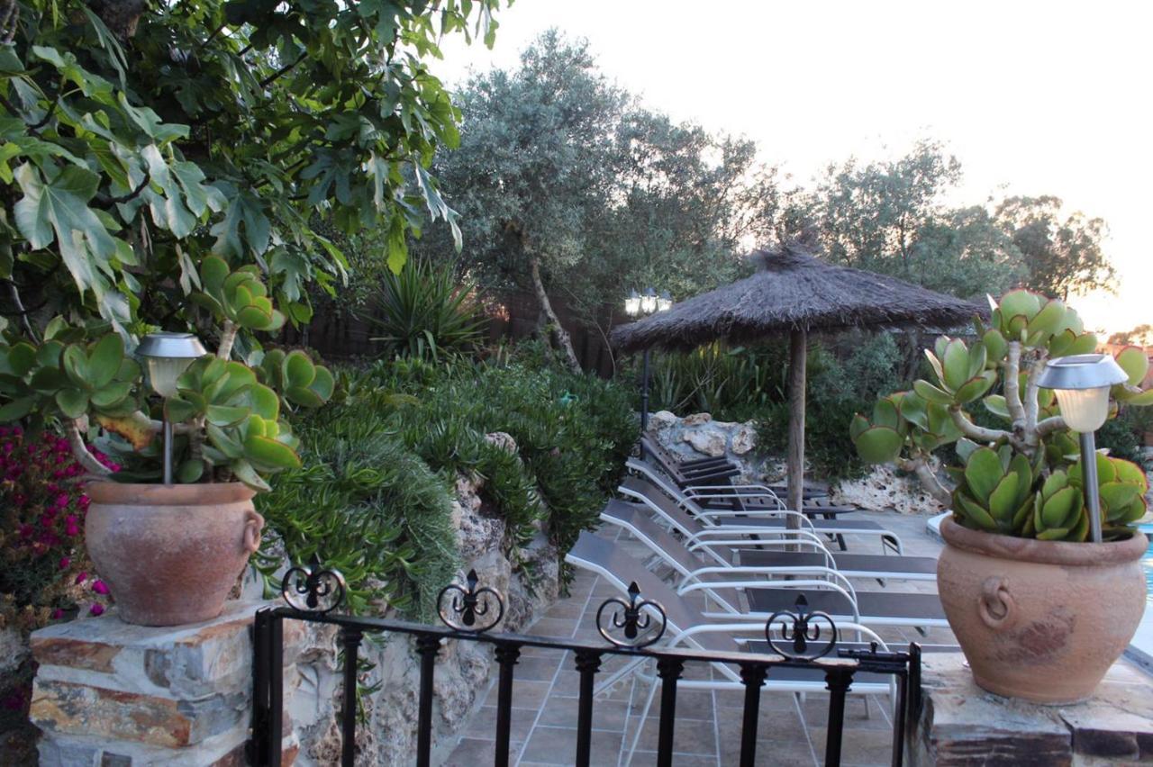Llano San Ignacio Guest House El Bosque Ngoại thất bức ảnh
