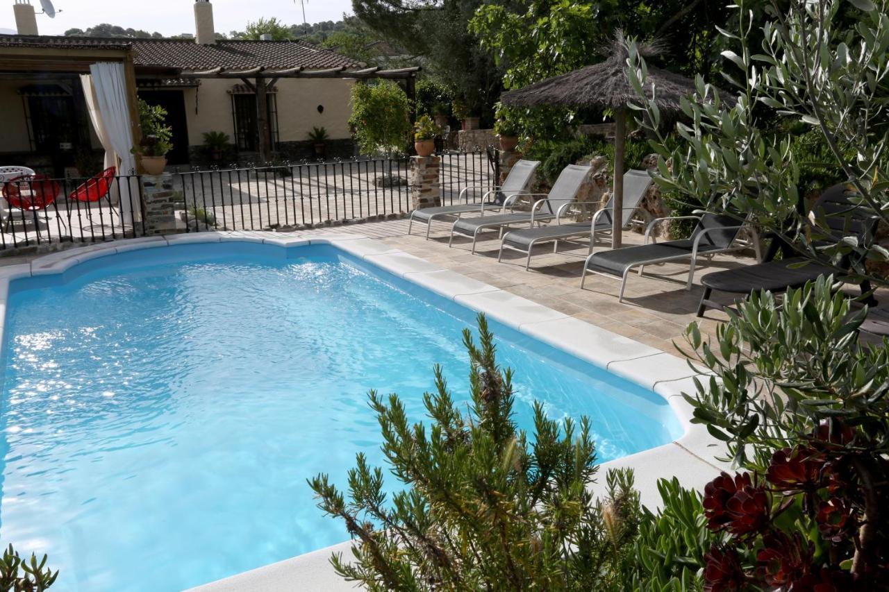 Llano San Ignacio Guest House El Bosque Ngoại thất bức ảnh